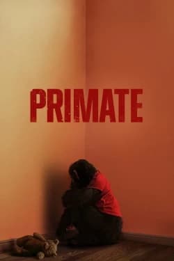 პრიმატი | Primate