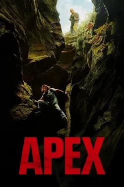 მწვერვალი | Apex